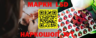 сатива Обь