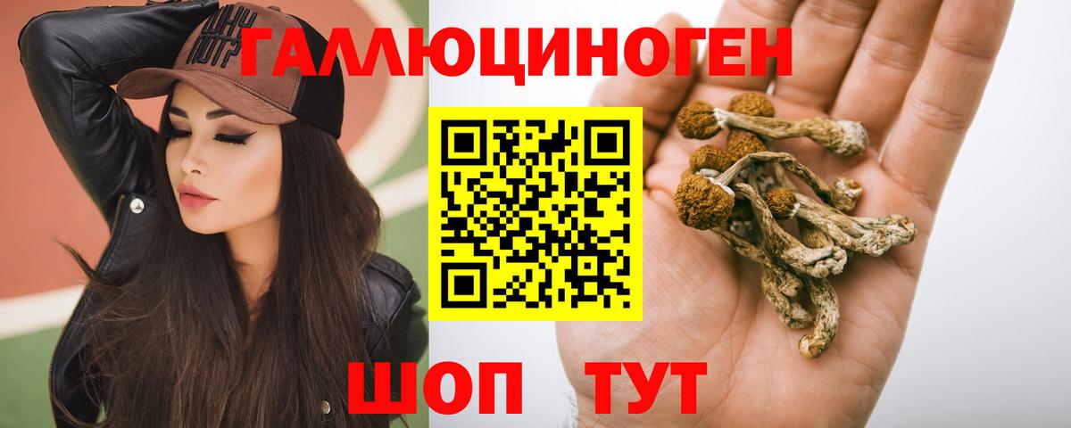 Псилоцибиновые грибы Cubensis Белово